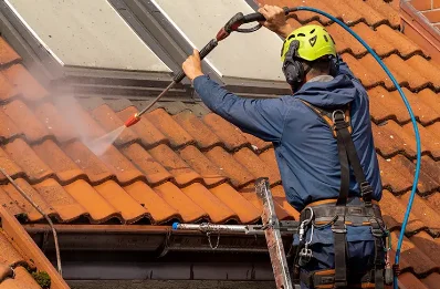 Démoussage et hydrofuge de toiture à Dominelais